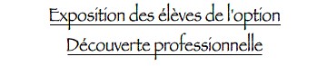 Exposition des élèves de l'option Découverte professionnelle