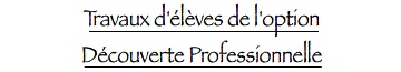 Travaux d'élèves de l'option Découverte professionnelle